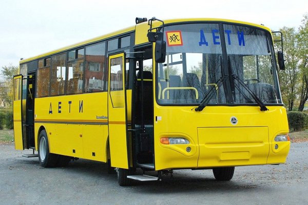 Саратовского директора школы оштрафовали за отсутствие аптечки в автобусе