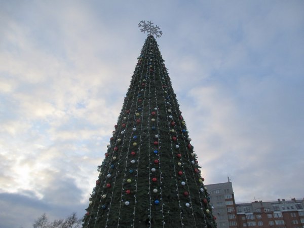 В этом году в Красноярке будет самая высокая в России ёлка