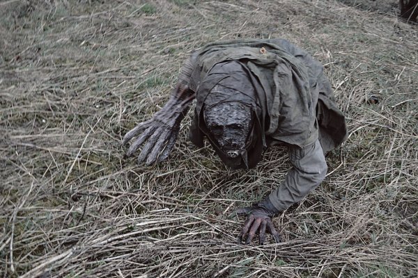 STALKER наяву: Очевидец заснял бежавшего по Чернобылю мутанта