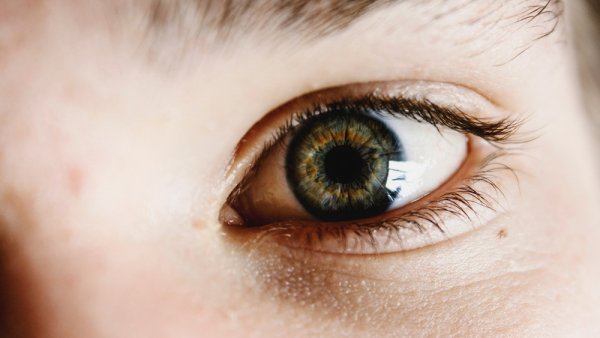 Учёные объяснили опасность синего света для зрения