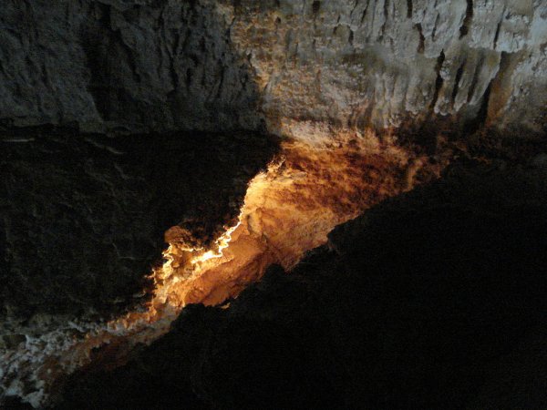 В пещерах Узбекистана ученые наткнулись на следы динозавров