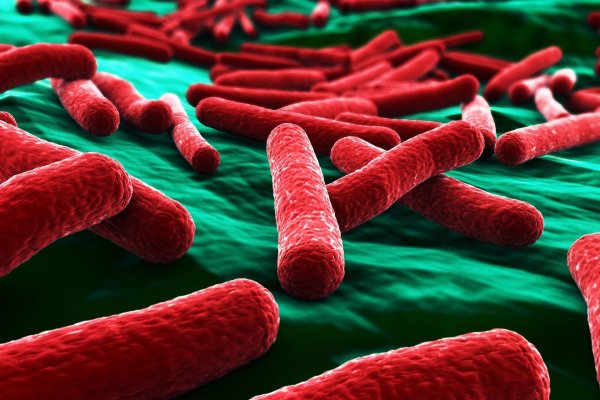 В Австралии ученые нашли устойчивые ко всем антибиотикам бактерии