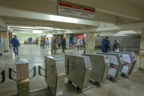 В метро Новосибирска ездила девушка в трусиках