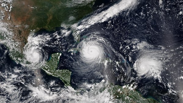 Учёные сравнили силу урагана «Флоренс» с самыми мощными тайфунами в истории