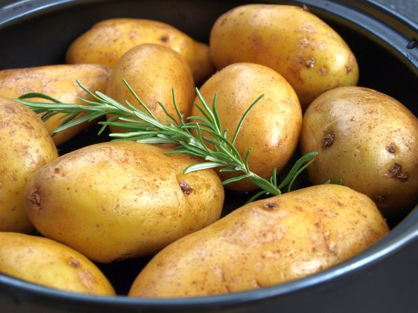 Эксперты поведали, можно ли похудеть, употребляя один картофель