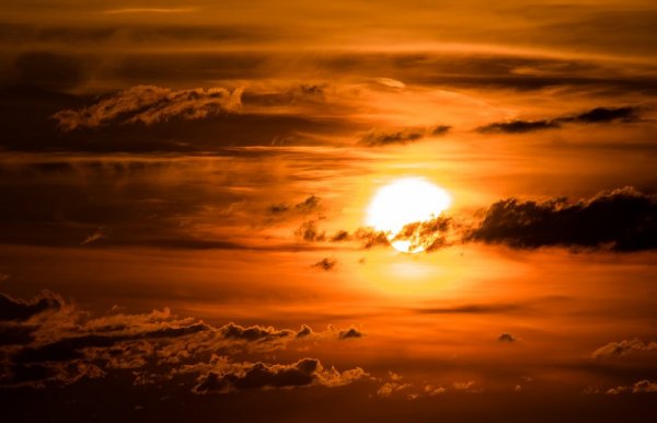 Ученые: Впервые за 11 лет начинается новый цикл активности Солнца