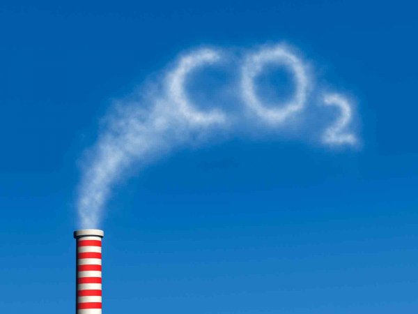 Ученые нашли способ превращать выбросы углекислого газа в полезную энергию