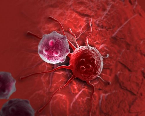 Ученые научили организм «пожирать» раковые клетки