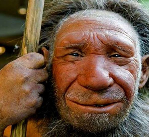 Найден череп первого представителя современного человека возрастом 35 тысяч лет
