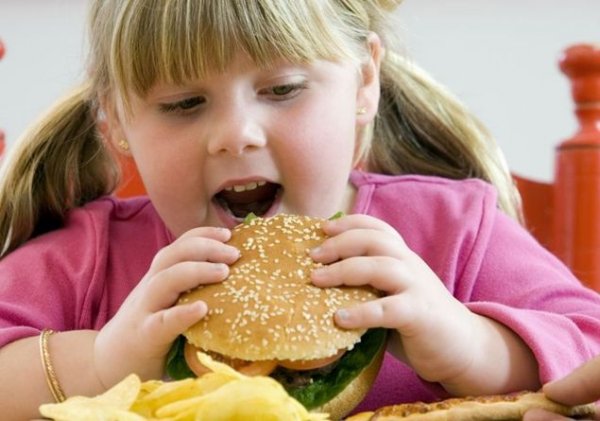 В ожирении детей виноваты работающие мамы – учёные