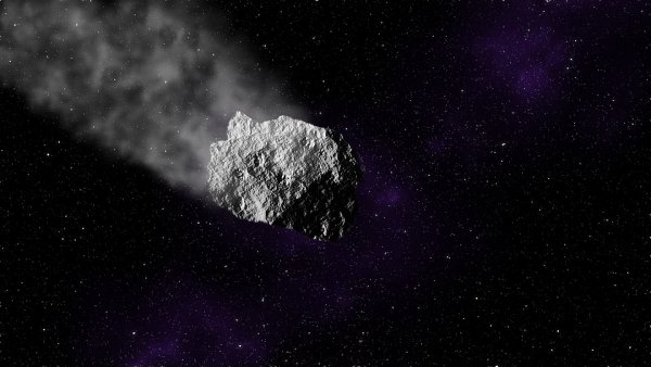 Астронавты NASA впервые исследуют 272-метровый астероид Паллада