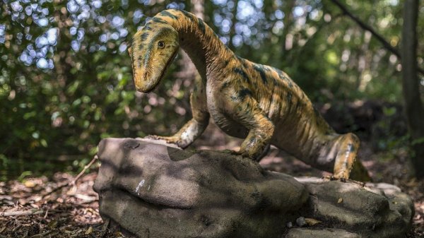 В Австралии обнаружен новый вид динозавров