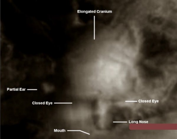 Марс заселяли гиганты: На «Красной планете» нашли останки 140-метрового великана