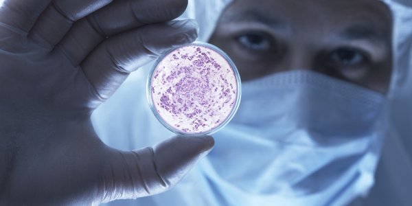 Кишечные бактерии способны останавливать рак – открытие