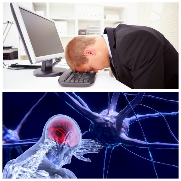 Учёные: «перезагрузка» мозга поможет увеличить его продуктивность