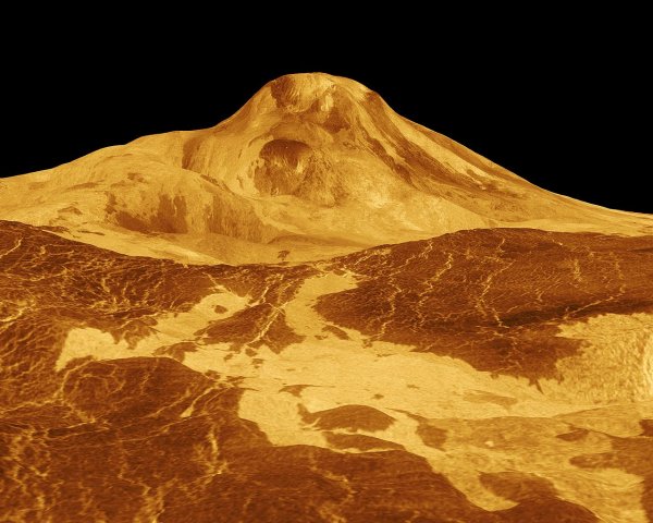 Обитаемая Вселенная: Ученые обнаружили на Венере жизнь