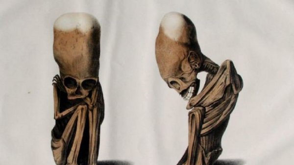 Детёныш пришельца найден в Перу? Учёные воссоздали облик инопланетян по древнему черепу