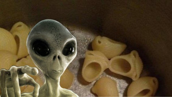 Съедобный инопланетянин? НЛО может иметь сходство с едой – эксперты