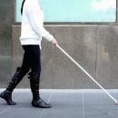 В России создали электронного «поводыря» для слепых
