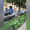 Бахча-нелегалка: В центре Петербурга начали расти дикие тыквы Бахча-нелегалка: В центре Петербурга начали расти дикие тыквы