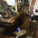 Всё это инсценировка: Лена Миро раскрыла тайну кражи кота Бегемота из музея Булгакова Всё это инсценировка: Лена Миро раскрыла тайну кражи кота Бегемота из музея Булгакова
