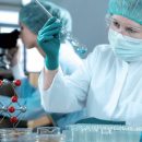 Японские учёные нашли способ борьбы с самыми устойчивыми раковыми бактериями Японские учёные нашли способ борьбы с самыми устойчивыми раковыми бактериями