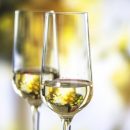 Вино без похмелья: В Великобритании продают инновационный вид алкоголя