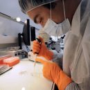 Ученые создали робота, способного доставлять лекарства в желудок Ученые создали робота, способного доставлять лекарства в желудок