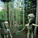 НЛО и могилы пришельцев на Земле – фейк, сделанный Пентагоном – Эксперт