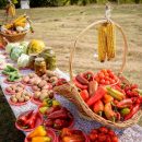 Ученые советуют есть растительную пищу ради спасения мира