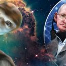 Стивен Хокинг в последней книге предупредил людей не искать пришельцев Стивен Хокинг в последней книге предупредил людей не искать пришельцев