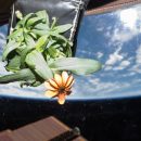 Учёные стали на шаг ближе к колонизации других планет