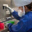 Швейцарские ученые нашли способ остановить старение и продлить молодость Швейцарские ученые нашли способ остановить старение и продлить молодость