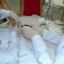 Ученые: Белок-мутант делает тщетными попытки организма побороть рак Ученые: Белок-мутант делает тщетными попытки организма побороть рак