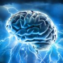 Ученые из Оксфорда научились удалять плохие воспоминания из памяти Ученые из Оксфорда научились удалять плохие воспоминания из памяти