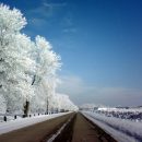 Ученые: В холодную погоду люди пьют больше алкоголя и губят печень Ученые: В холодную погоду люди пьют больше алкоголя и губят печень