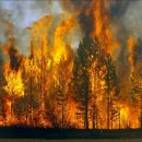 Уфологи: Пожары в Калифорнии возникли из-за пришельцев