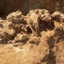 На юге Уэльса впервые обнаружили кельтское захоронение с колесницей