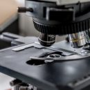 Ученые изобрели микроскоп для измерения мышечной слабости Ученые изобрели микроскоп для измерения мышечной слабости