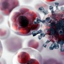 Ученые рассказали о генетическом способе защиты от рака Ученые рассказали о генетическом способе защиты от рака