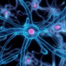 Ученые из Швеции нашли новый способ борьбы с раком Ученые из Швеции нашли новый способ борьбы с раком