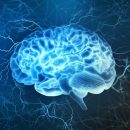 В будущем лечить слабоумие будут выращиванием нового мозга – учёные