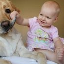 Ученые рассказали о пользе домашних животных для здоровья детей Ученые рассказали о пользе домашних животных для здоровья детей