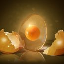 Учёные доказали: всего одно яйцо в день снижает риск инсульта Учёные доказали: всего одно яйцо в день снижает риск инсульта