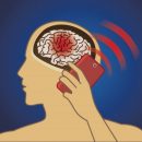 Специалисты развенчали 11 мифов о вреде мобильных телефонов
