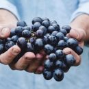 Ученые объяснили причину образования плазмы из винограда в микроволновке Ученые объяснили причину образования плазмы из винограда в микроволновке
