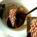 «Мясо с белыми щупальцами»: В школьном супе обнаружена внеземная форма жизни, угрожающая планете 23 февраля