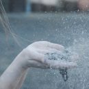 Ученые выяснили, что пыль может быть причиной бесплодия Ученые выяснили, что пыль может быть причиной бесплодия