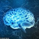 Ученые: Человек становится по-настоящему взрослым только после 30 лет Ученые: Человек становится по-настоящему взрослым только после 30 лет