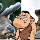 Учёные выяснили, что пещерные люди ели только мясо оленей и конину Учёные выяснили, что пещерные люди ели только мясо оленей и конину